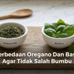 Perbedaan Oregano Dan Basil Agar Tidak Salah Bumbu